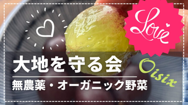 オーガニック野菜｜「大地を守る会」のお試しセットを注文して